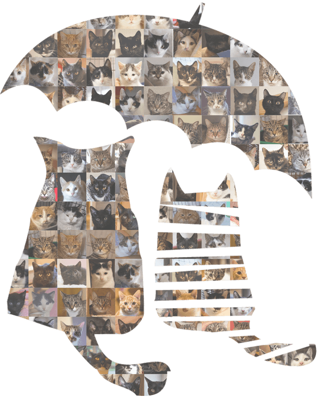 logo kociego zakątka ze zdjęciami kotów